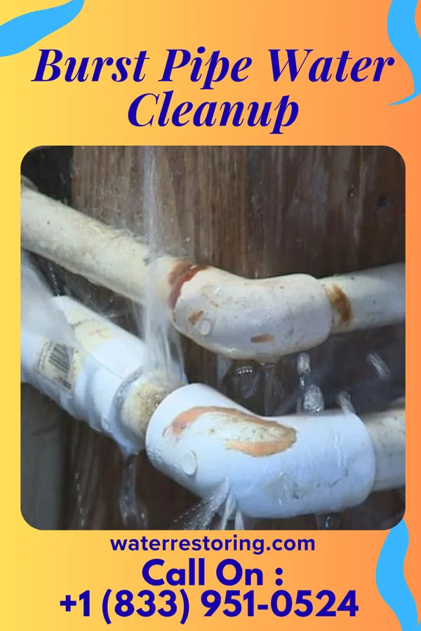 Burst Pipe Water Cleanup in Brunswick, MD