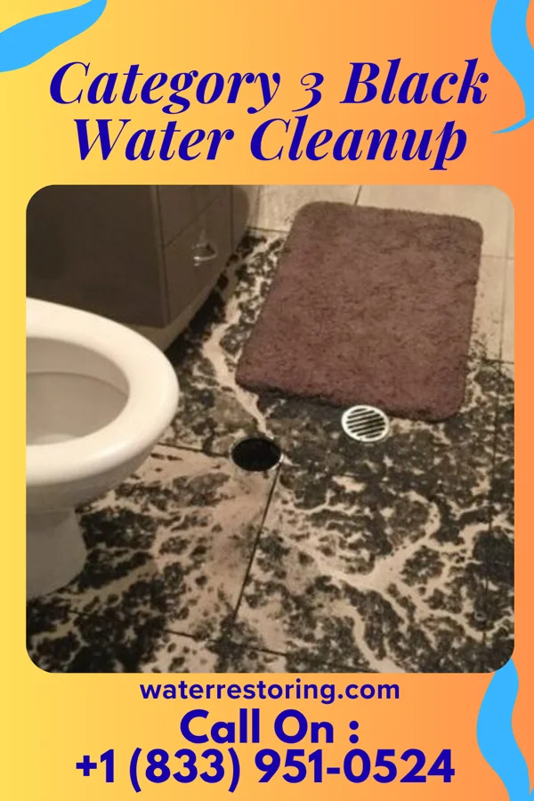 Category 3 Black Water Cleanup in Brunswick, MD