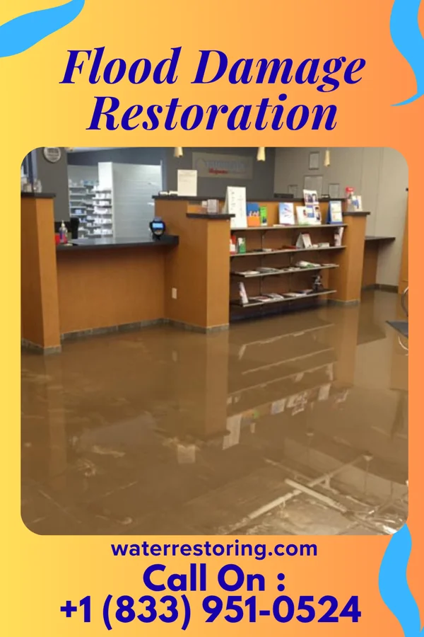 Flood Damage Restoration in Brunswick, MD