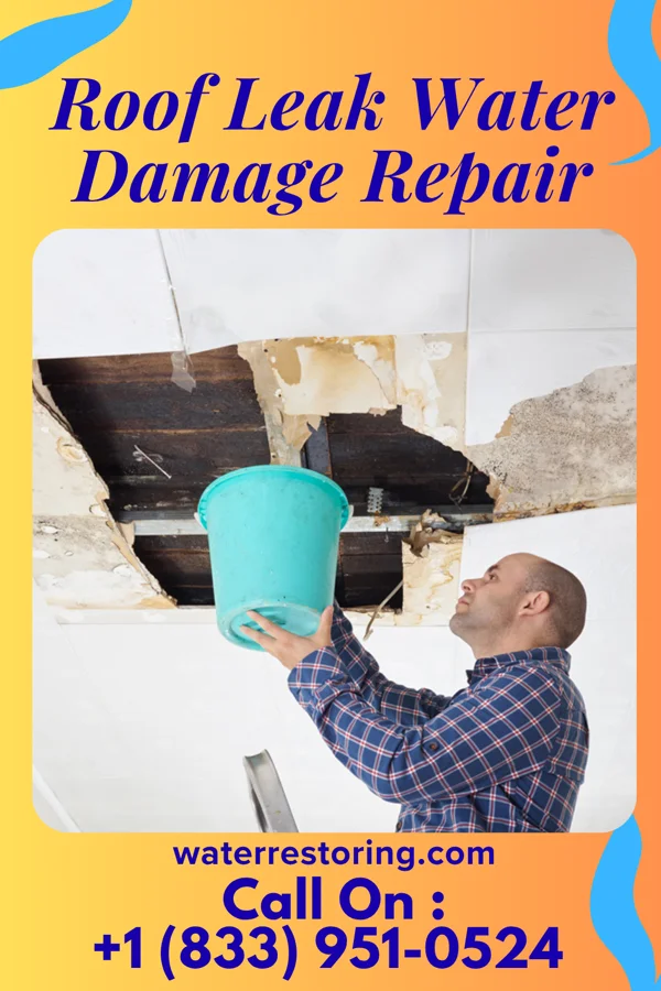 Roof Leak Water Damage Repair in Brunswick, MD