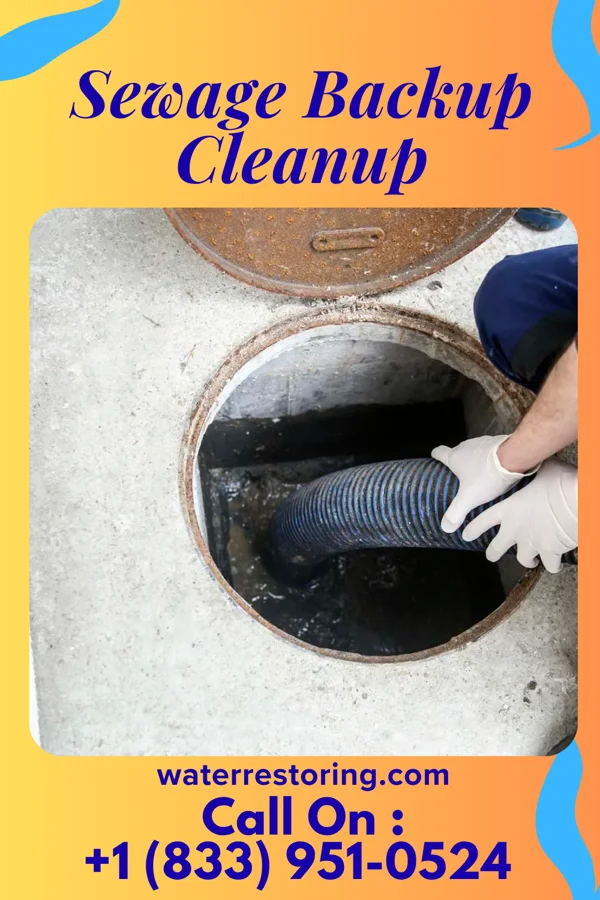 Sewage Backup Cleanup in Brunswick, MD