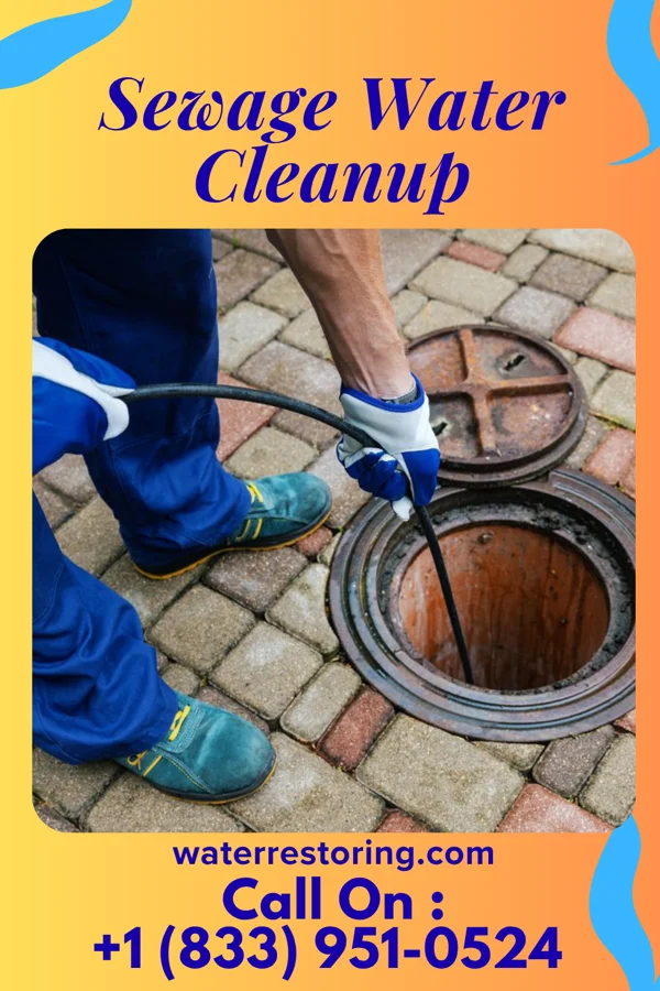Sewage Water Cleanup in Brunswick, MD