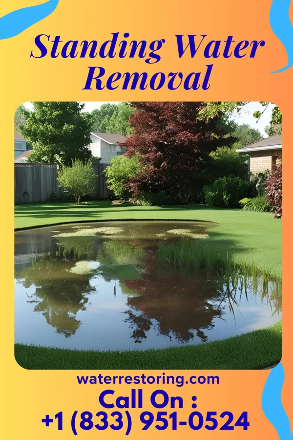 Standing Water Removal in Brunswick, MD